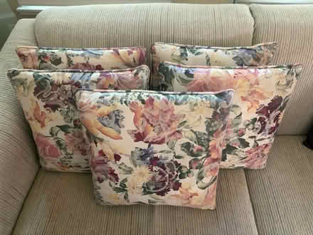 Photo of free throw pillows (northwest fort collins) #1
