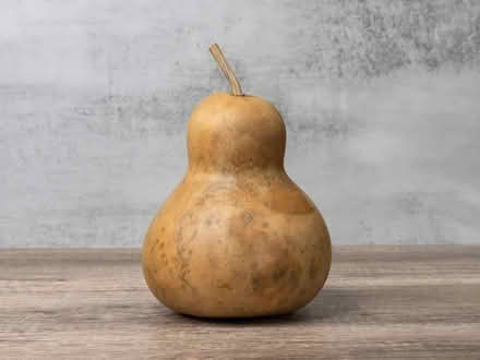 Photo of dried gourd (Melrose near Whole Foods) #1