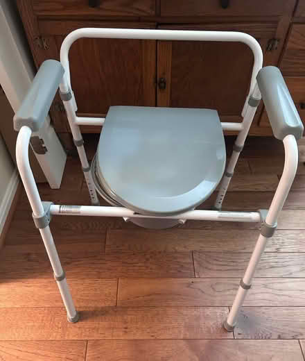 Photo of free Potty seat (West Springfield) #1