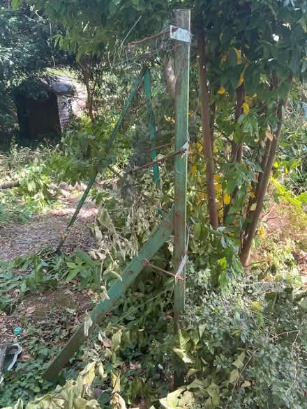 Photo of free 2 metal garden posts for vegetables (Tunbridge wells TN4) #1