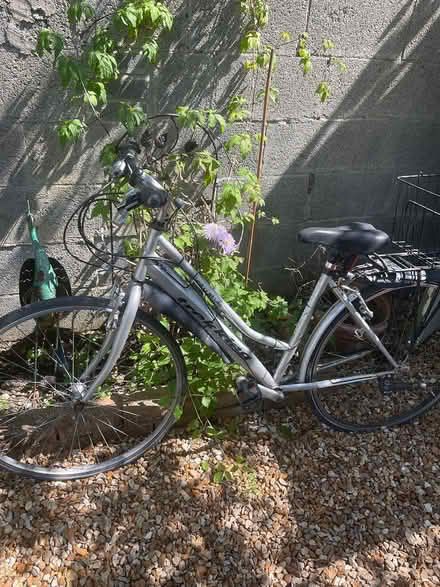 Photo of free Ladies bicycle (Harold’s Cross) #1