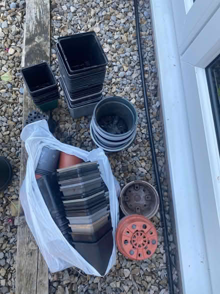 Photo of free Plant Pots - 3inch up to 1.5 litre (Mungrisdale CA11) #1