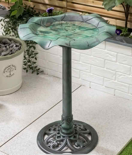 Photo of Bird Bath (Ramsgate CT11) #1