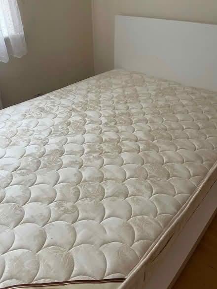Photo of free 4’-6” double bed (W7 1BY) #1