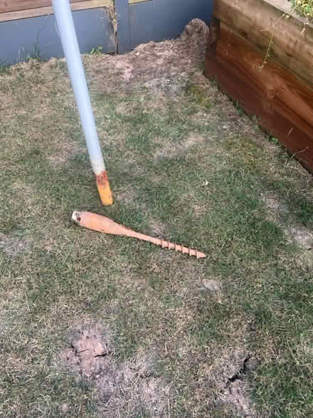Photo of free Large Rotary Washing Line (Allestree) #3