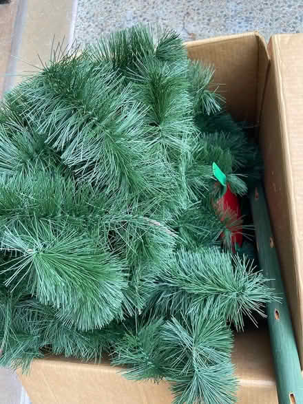 Photo of free Christmas Tree (Park Ridge) #2