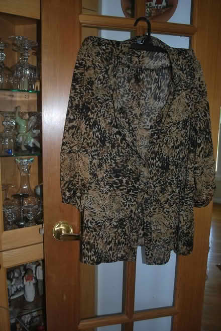 Photo of free Woman's blouse, Size 2X (gatineau ave & de bourgogne st) #1