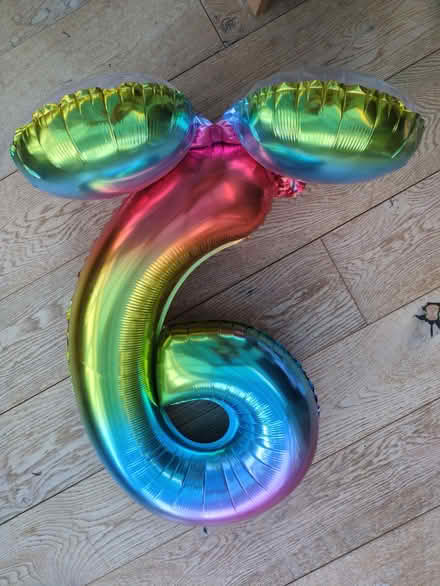 Photo of free Number 9 balloon (Holt Park LS16) #1