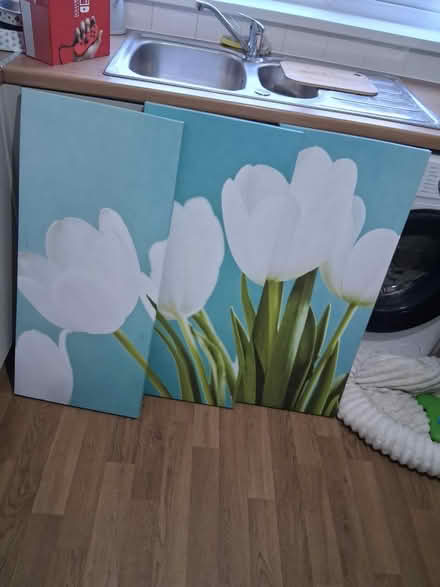 Photo of free Large wall canvases (Stourbridge DY8) #1