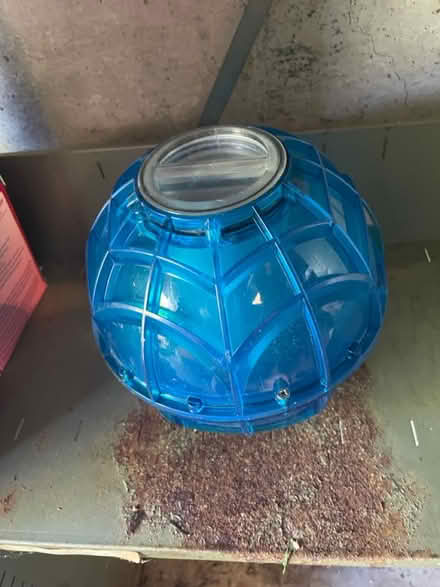 Photo of free Ice cream ball (Lynnwood) #1