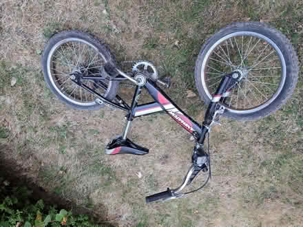 Photo of free Kids Giant Animator bike (Greystones S11) #1