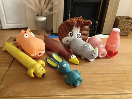 Photo of free 8 dog squeeky toys (Downall Green WN4) #1
