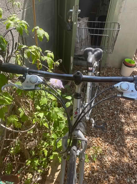 Photo of free Ladies bicycle (Harold’s Cross) #2