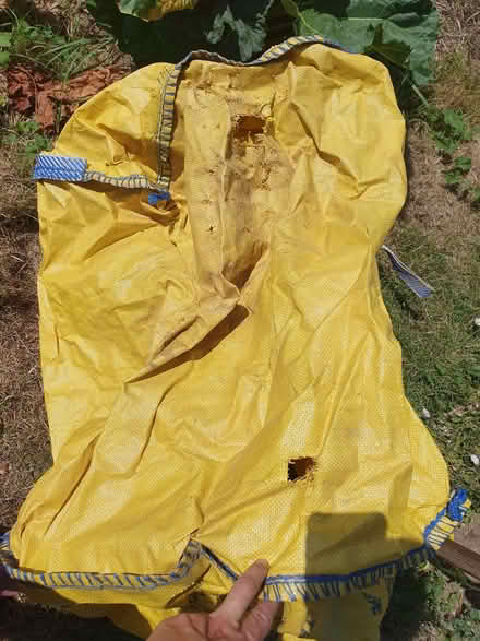 Photo of free Large dumpy bag (New Greens AL3) #2