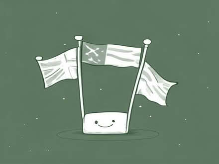 Photo of Flags (Hunslet Carr LS11) #1