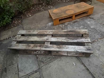 Photo of free Outdoor Plant Stands (2) (Tw10) #1