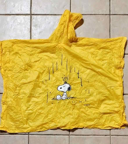Photo of free Kids Poncho (Long Island Express. (exit 52)) #1
