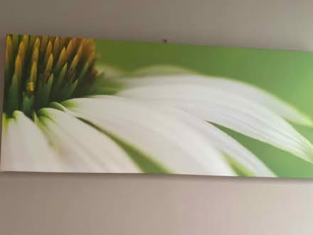 Photo of free Green and white flower canvas (Maidstone ME158) #1