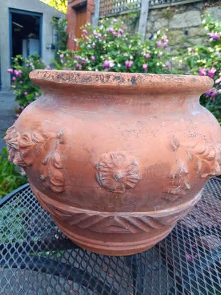 Photo of free Terracotta planter (Rathmines/Ranelagh) #1