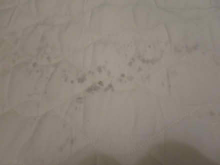 Photo of free Fold up foam baby/toddler mattress (Springbourne BH1) #2