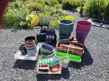 Photo of free Plant pots and trays (Nant Glas LD1) #1