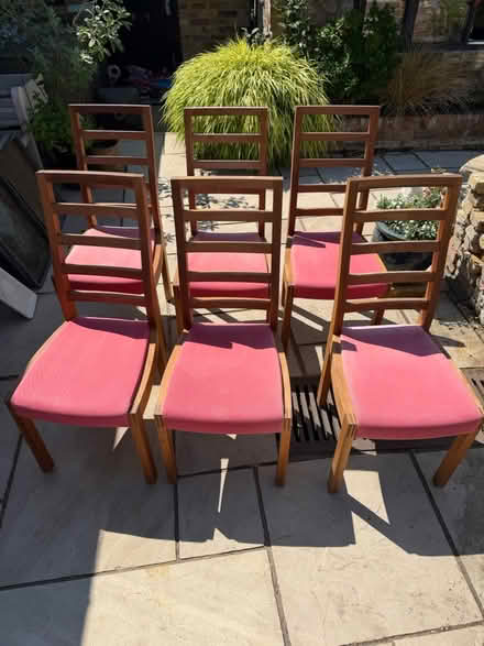 Photo of free 6 x solid wood padded chairs (Shepperton, TW17) #1