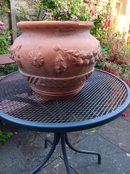 Photo of free Terracotta planter (Rathmines/Ranelagh) #3