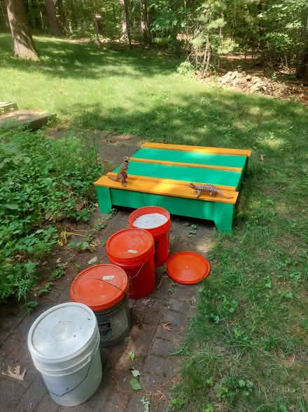 Photo of free Children's Sandbox with sand (Elm Street) #2