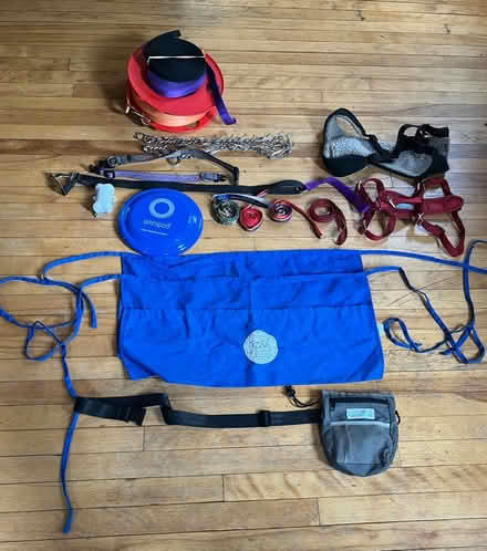 Photo of free Dog training and care items (Central Square Cambridge) #3
