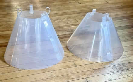 Photo of free Dog training and care items (Central Square Cambridge) #2