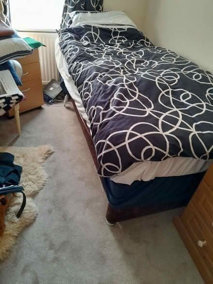 Photo of free Trundle bed (Burnham On Sea TA8) #1