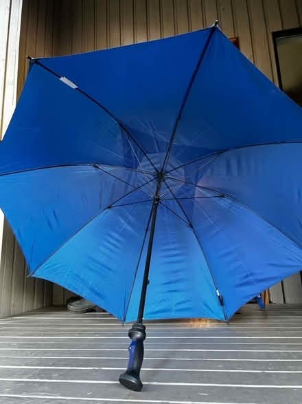 Photo of free Umbrella (Bothell - Canyon Park) #2