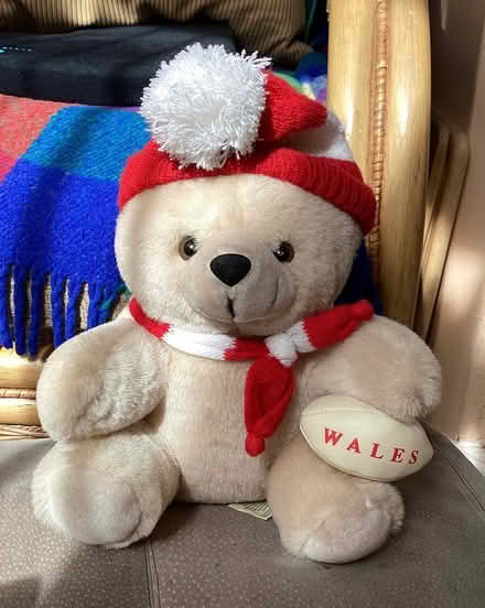 Photo of free Welsh rugby teddy bear (Southsea) #2