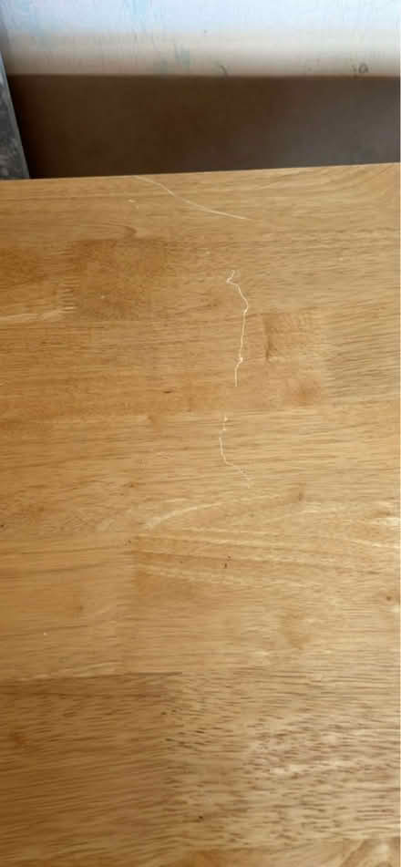Photo of free Dining Table (Newhaven BN9) #4