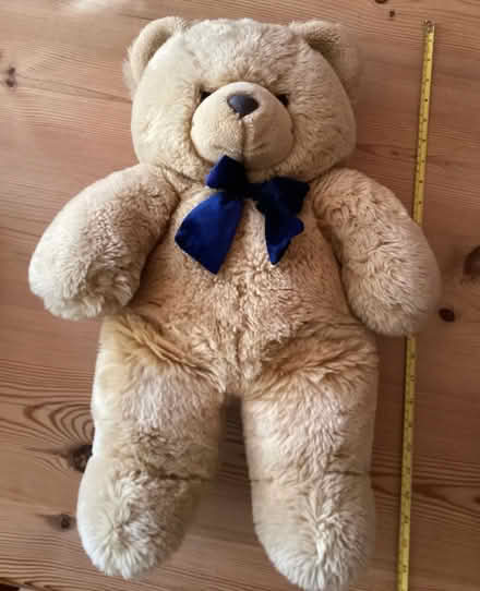 Photo of free Teddy Bear (Southsea) #2