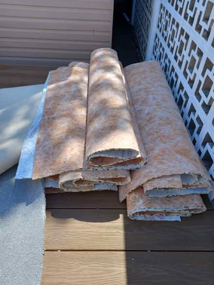 Photo of free Clean Grey Twist Carpet 20 sq metre (Kingsteignton area of N.Abbot) #1