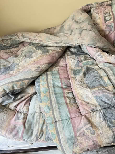 Photo of free Set of two twin comforters (Teaneck, NJ) #4