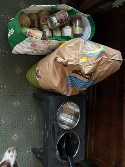 Photo of free Dog food tinned & bag raised feeder (Clayton BD14) #4