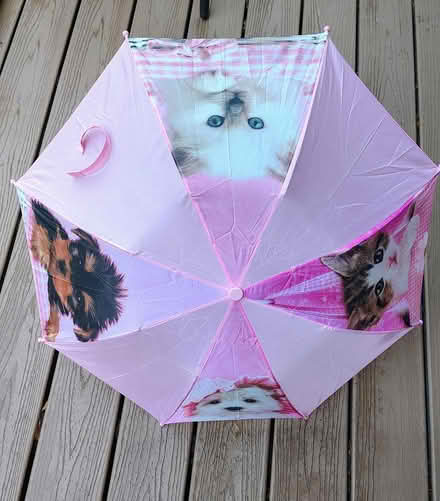 Photo of free Pink Child's Umbrella (Long Island Express. (exit 52)) #1