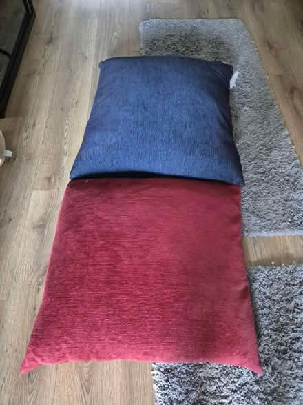 Photo of free Two large cushions (Jamaica Rd-Tooley St junction) #1