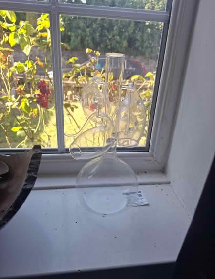 Photo of free Brandy decanter with glasses (L25 Woolton) #1