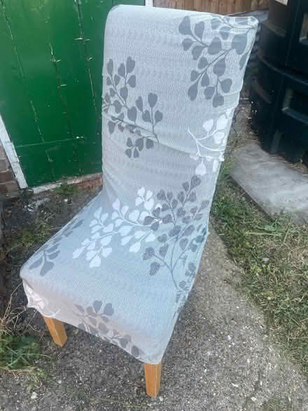 Photo of free 6 dining chairs (Newton PE13) #1