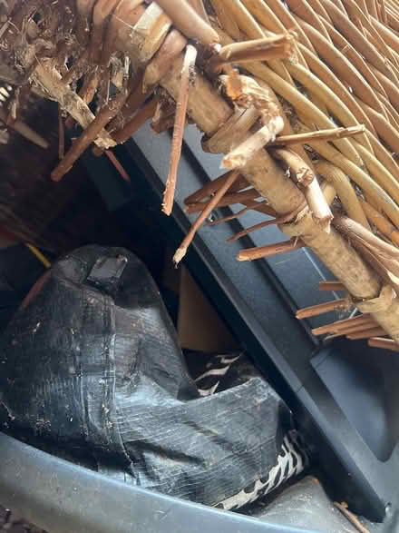 Photo of free Huge log basket (Torquay TQ2) #1