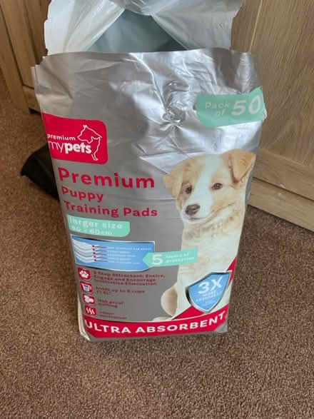 Photo of free Puppy training pads (Plymouth PL5) #1