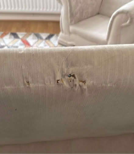 Photo of free Sofa and chair set (Nuneaton CV11) #3