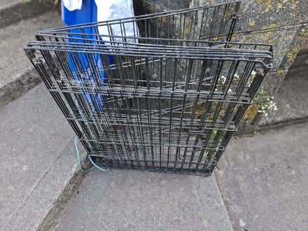 Photo of free Puppy / dog playpen (Odd Down BA2) #1