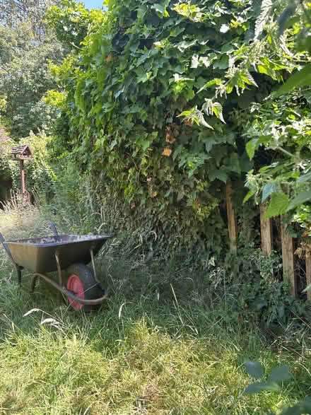 Photo of free Garden fence (Loughton IG10) #4