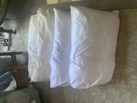 Photo of free Pillows (Aldershot GU11) #1