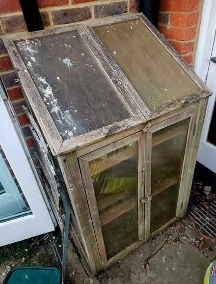 Photo of free small Aldi greenhouse (Ringmer BN8) #1