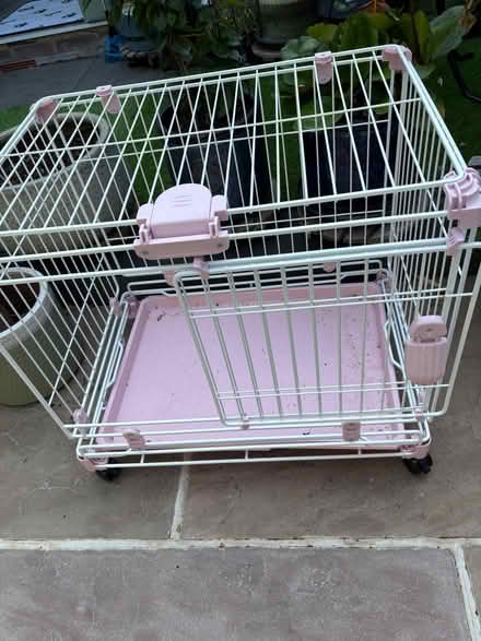 Photo of free Puppy crate. (Southborough BR2) #1